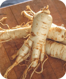 Chinese Ginseng ingredient in ProtoFlow